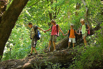 Eine perfekte Woche im Bayerischen Wald erleben